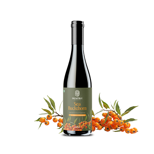 Dhartika Himalayan Sea Buckthorn Juice 500ml bottle with fresh berries